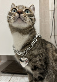 Люся, г. Благовещенск