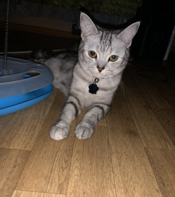 Мелисса, г. Благовещенск