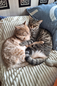 Серёга и Ницца, г. Благовещенск