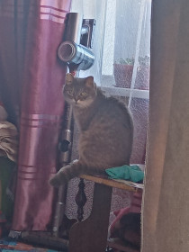 Соня, п. Ерофей Павлович