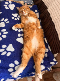 Василий, г.Благовещенск