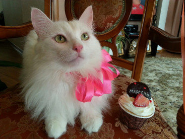 Марселька, г. Благовещенск