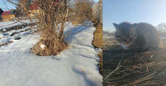 Мурка, с. Угловое