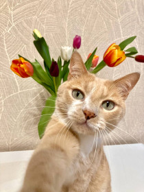 Симба, с. Екатеринославка