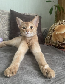 Марс, г. Райчихинск