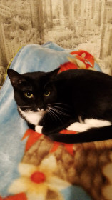 Муся, п. Дипкун