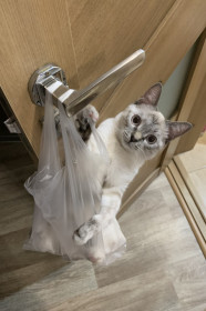 Юна, г. Благовещенск