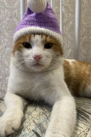 Рыжик, п. Архара