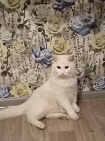 Парамон, с. Екатеринославка