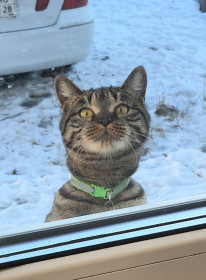 Барсик, с. Соловьевск