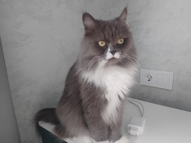 Мурëнка, с. Кантон-Коммуна