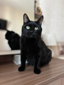 Симба, пгт Новобурейский