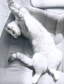 Маруся, г. Свободный