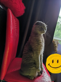 Пушаня, с. Констаниновка