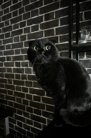 Вегас, пгт Архара