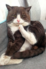 Чип, с. Ивановка