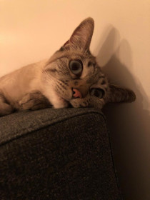 Марс, г. Москва