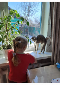 Феликс, с. Поярково