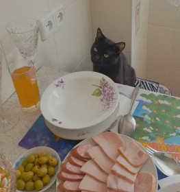 Куро, г. Благовещенск