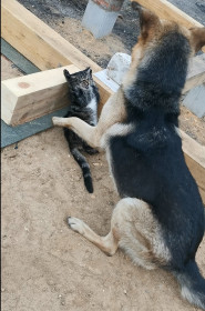 Гарик, г. Белогорск