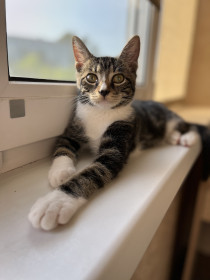 Симона, г. Благовещенск