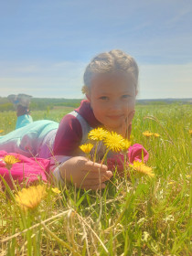 Прогресс, одуванчики и София