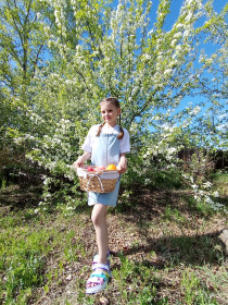 Яблонька в цвету в Шимановске