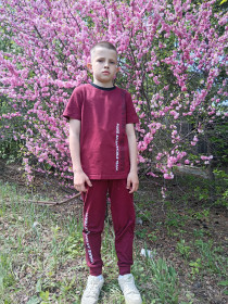 Прекрасная сакура в Шимановске