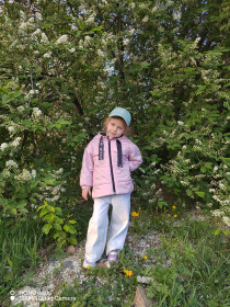 Черёмуха в пгт Магдагачи