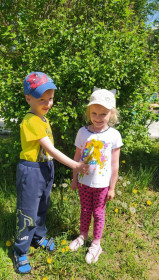 Одуванчики в городе Белогорске