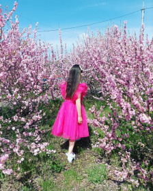 Цветущая сакура в п. Екатеринославка