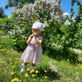 Магдагачинский одуванчик