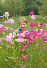 Цветник, с. Михайловка