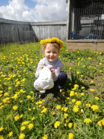 Одуванчики, село Михайловка