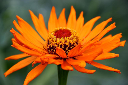 Циния, станция Тыгда