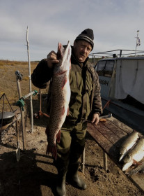 Щука, Зейское водохранилище