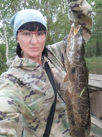 Змееголов, Константиновский район