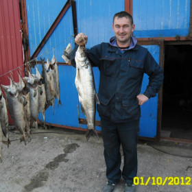 Верхогляд, пойманный на Амуре