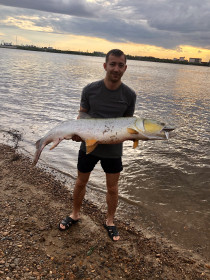 Желтощек, устье Зеи