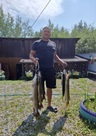 Щука, Зейское водохранилище