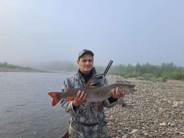 Таймень, р. Гилюй