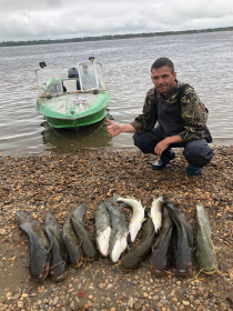 Сомы и две щуки с. Белогорье, р. Зея