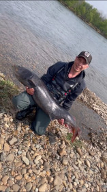 Таймень с Буреи