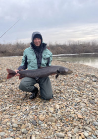 Таймень, Нижнебурейское водохранилище