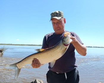 Усть-Ивановка, р. Зея