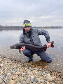 Таймень, р. Бурея