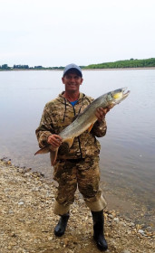 Желтощек, р. Селемджа