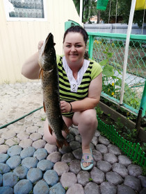 Щука из реки Томь, Серышевский округ