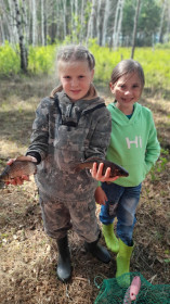 Карась, озеро Круглое, Серышевский округ