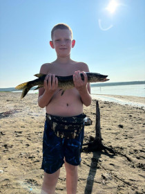 Щука, Зейское водохранилище